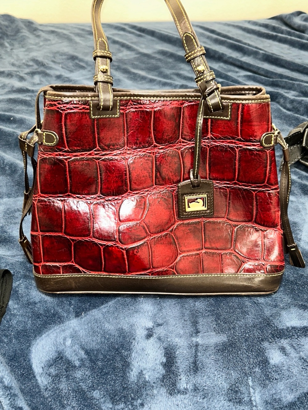 Dooney & Bourke Red Croc-Embossed Satchel with Brown Trim